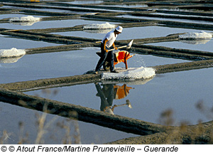 Salzgewinnung in der Bretagne, Asserac bei Guerande