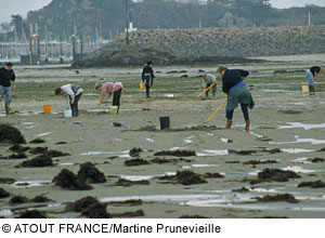 Muschelzucht in der Bretagne