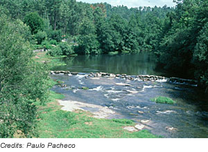 Cávado  River, Costa Verde, Portugal