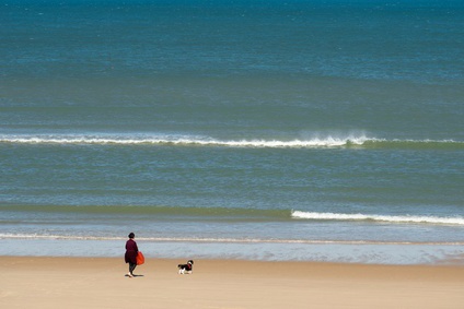 Bretagne Ferienhaus mit Hund