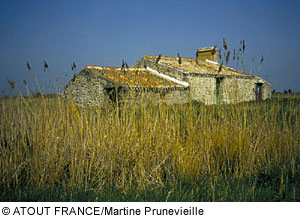 Steinhaus in der Bretagne