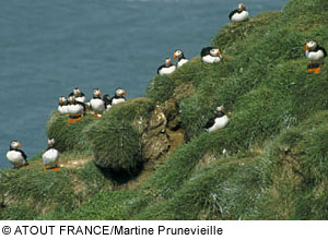 ZugvÃ¶gel, Bretagne