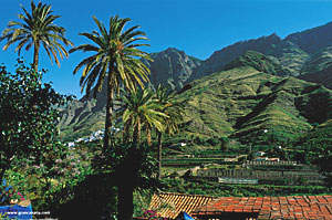 Los Berrazales Valle, Gran Canaria