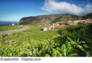 La Palma Ferienhaus