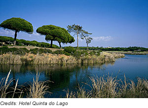 Landschaft bei Almancil, Algarve, Portugal