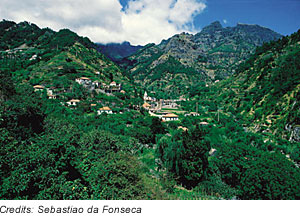 Landschaft auf Madeira, Portugal